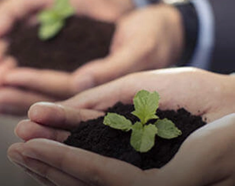 Birla Arika 4 BHK booking