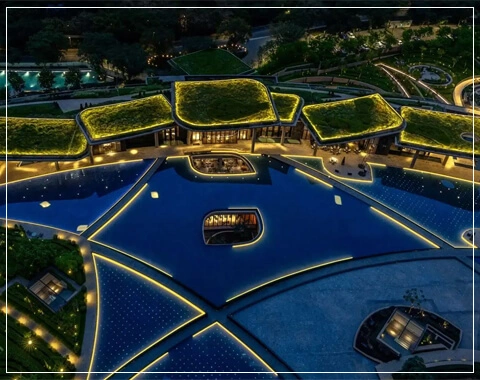 dlf camellias reviews