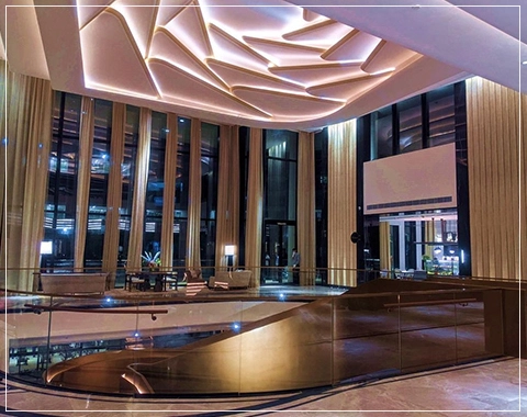 dlf camellias pictures