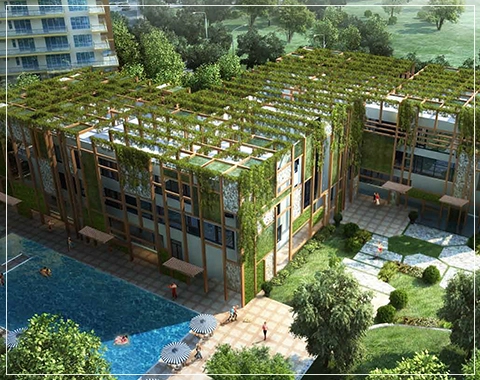 pioneer araya pictures