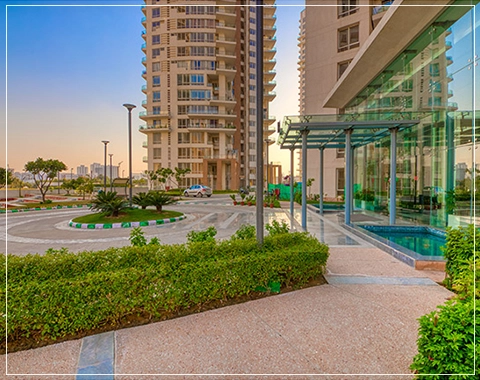 pioneer presidia interior