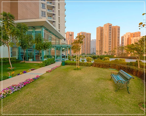 pioneer presidia sale