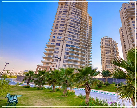 pioneer presidia architect